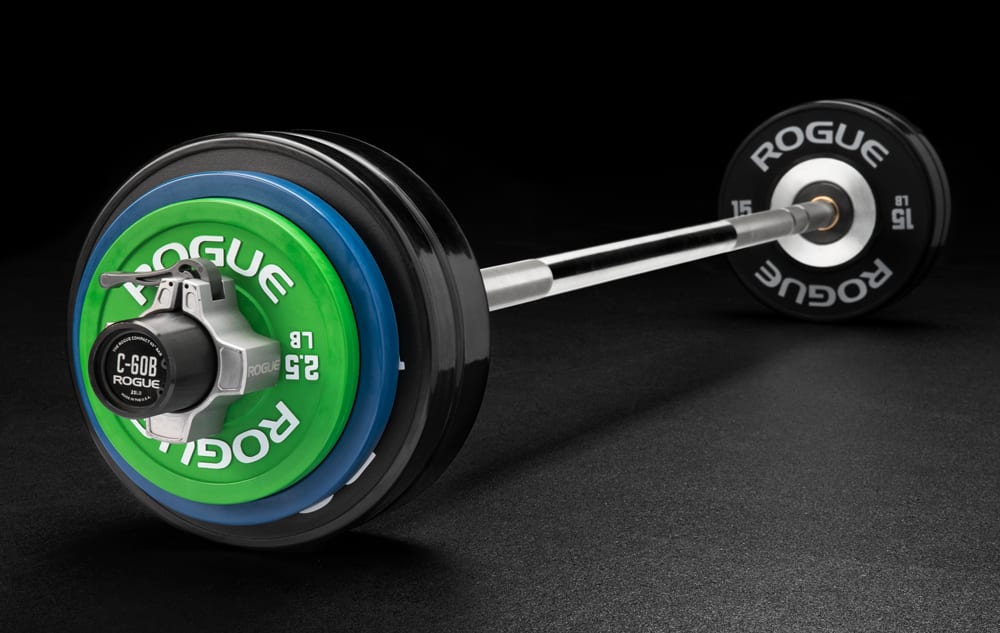 Rogue 70 deals lb plate